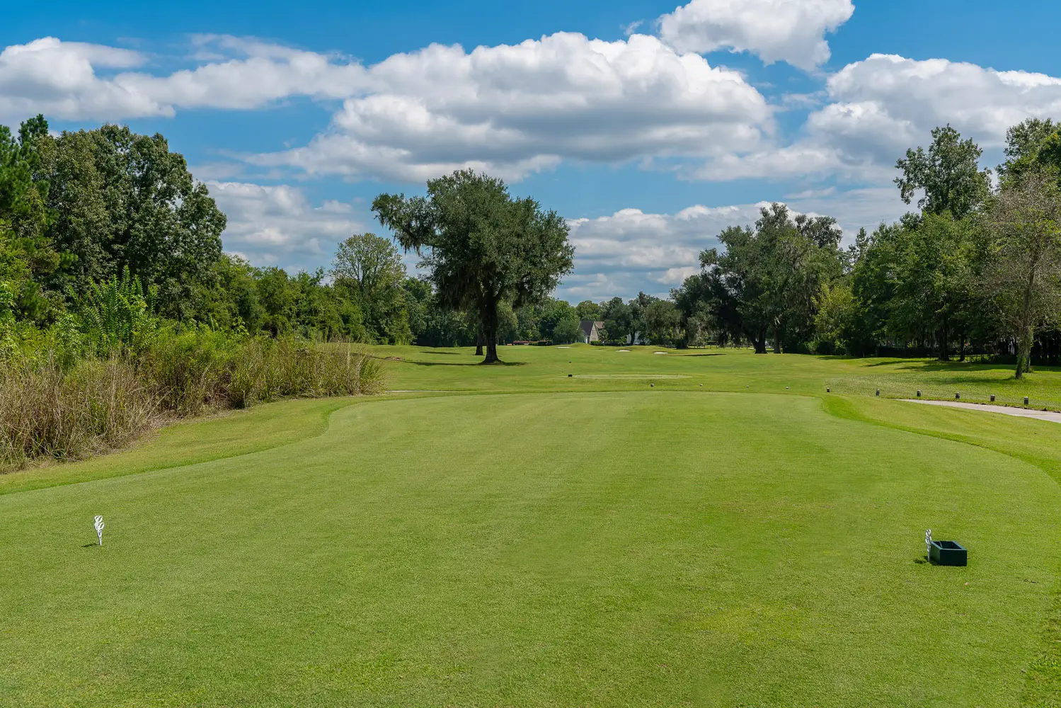 Photo of the long fairway at Coosaw Creek Country Club's golf course located in North Charleston, SC where a  house is for sale by the homeowner.